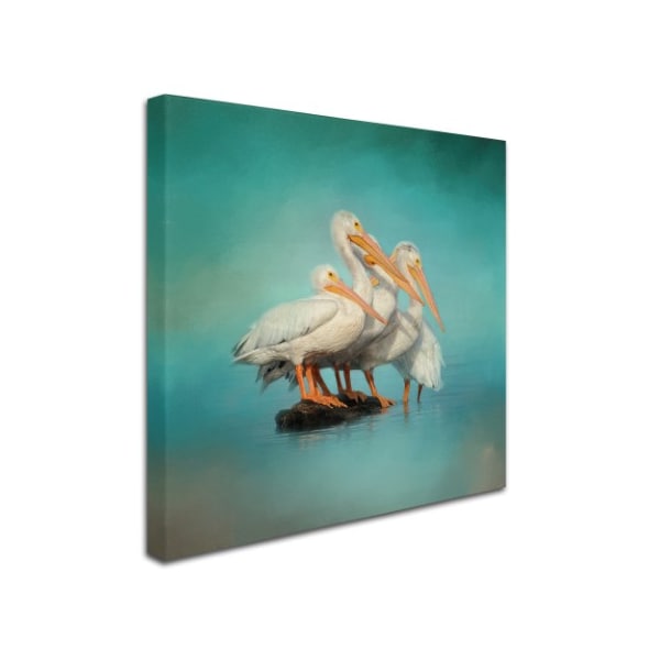 Jai Johnson 'We Are Family White Pelicans' Canvas Art,24x24